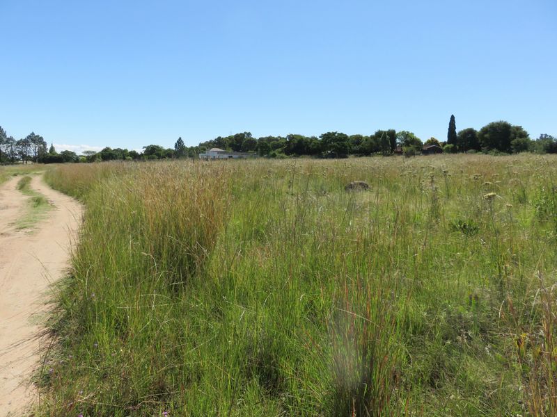 Vacant Land looking for an owner in Deneysville, Vaal Dam - Photo 8