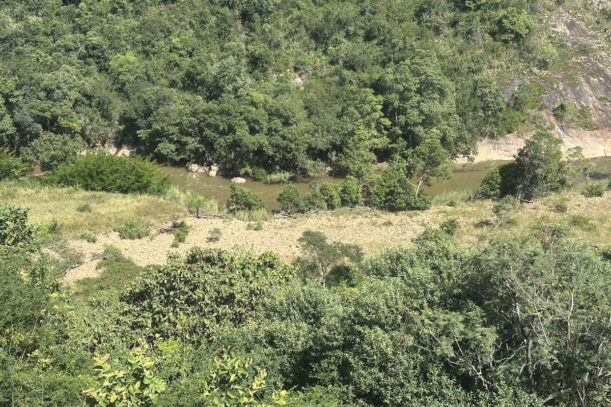 Lifestyle small holding for the nature lover - Photo 2