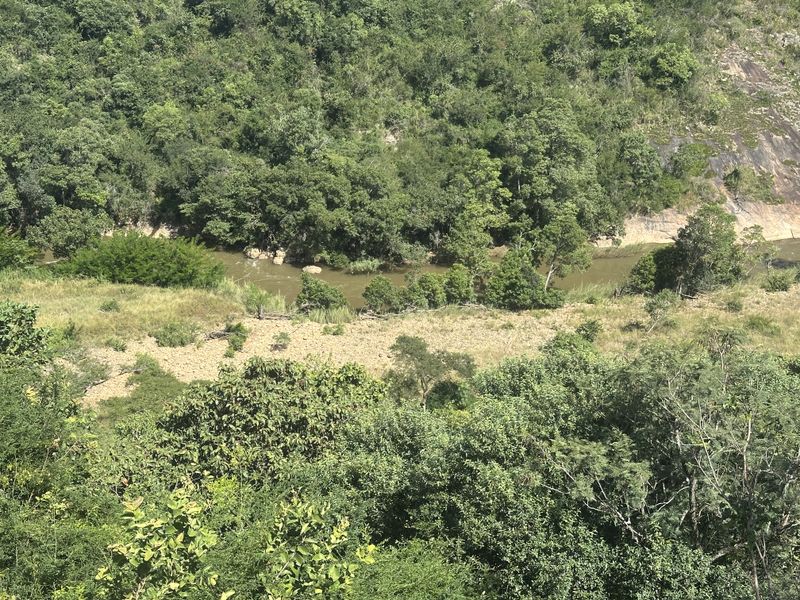 Lifestyle small holding for the nature lover - Photo 2