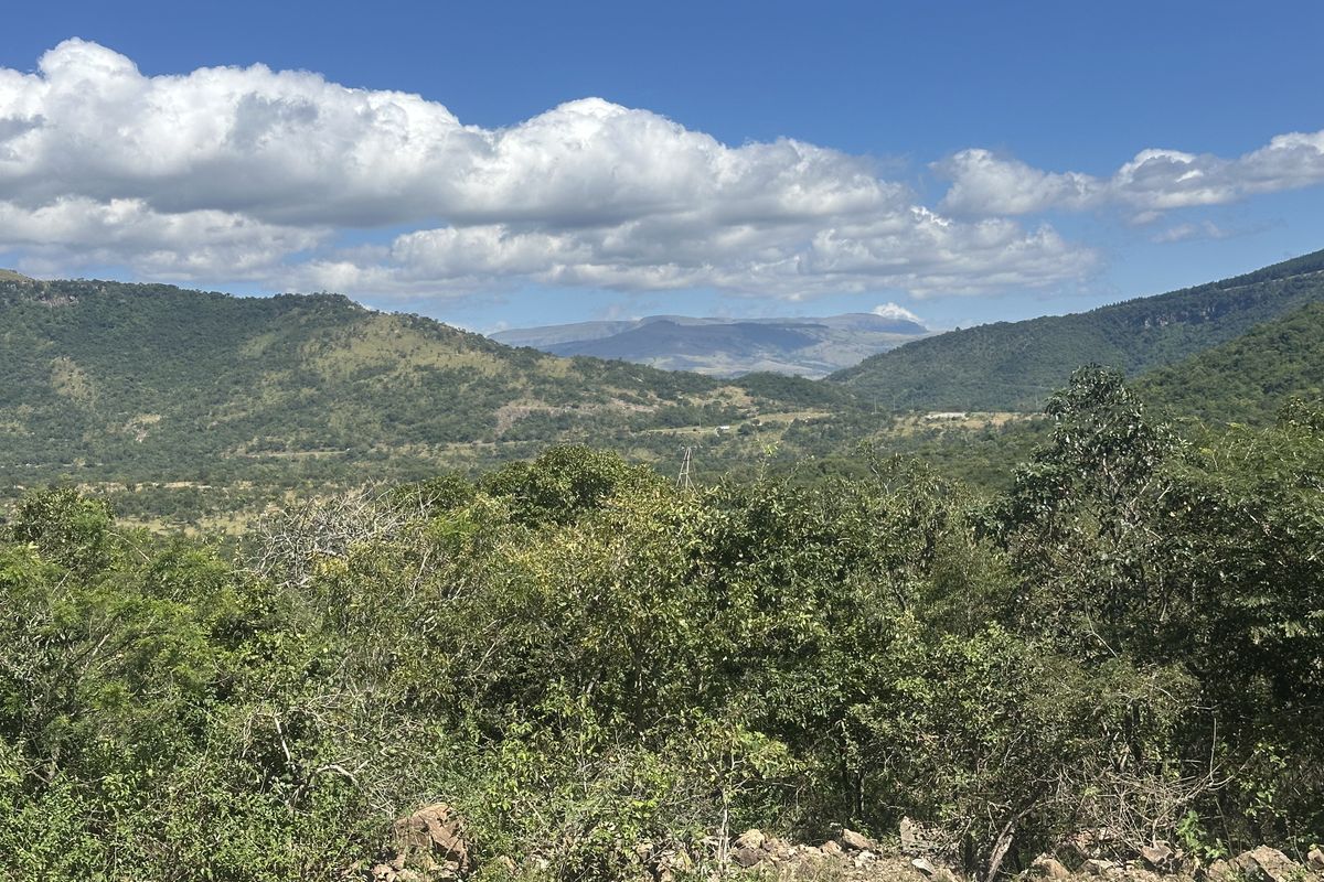 Lifestyle small holding for the nature lover - Photo 5