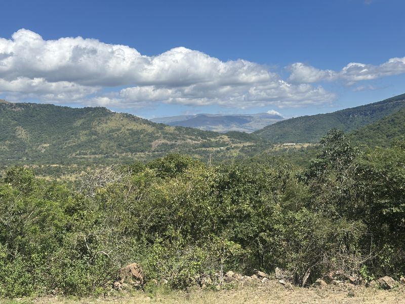 Lifestyle small holding for the nature lover - Photo 5