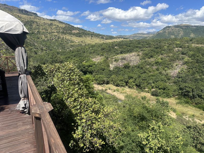 Lifestyle small holding for the nature lover - Photo 9