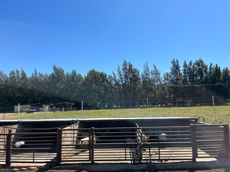 Nuut in die Mark!! - Photo 8