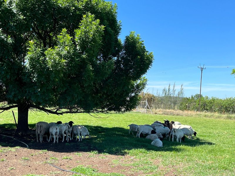 Nuut in die Mark!! - Photo 5