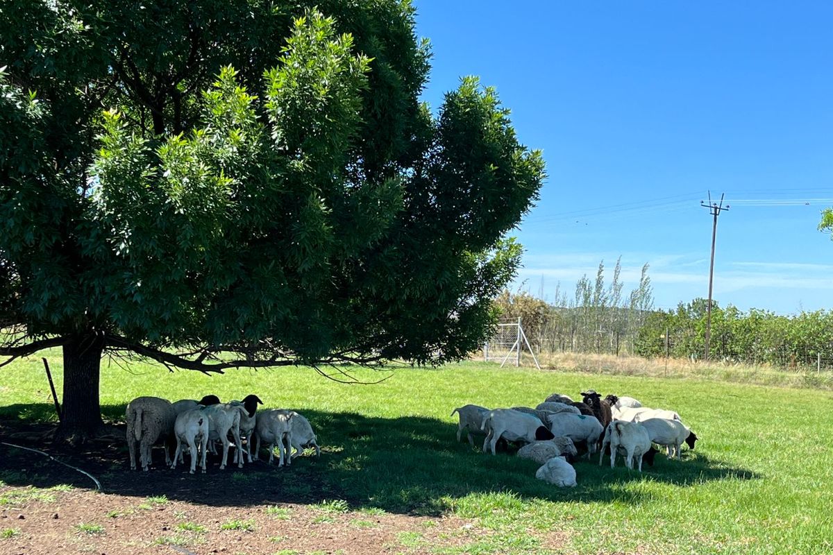 Nuut in die Mark!! - Photo 5