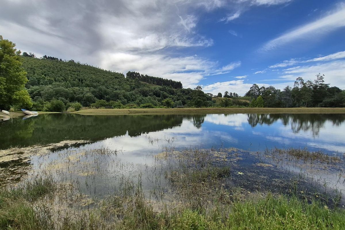 SOLITUDE - ENJOY THE SILENCE - Photo 2