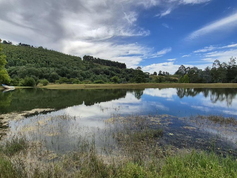 SOLITUDE - ENJOY THE SILENCE - Photo 2