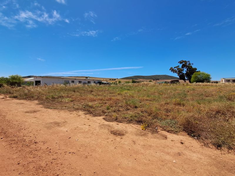 Last chance to own this large plot with space for  space for a  chickens etc. in Moorreesburg - Photo 5