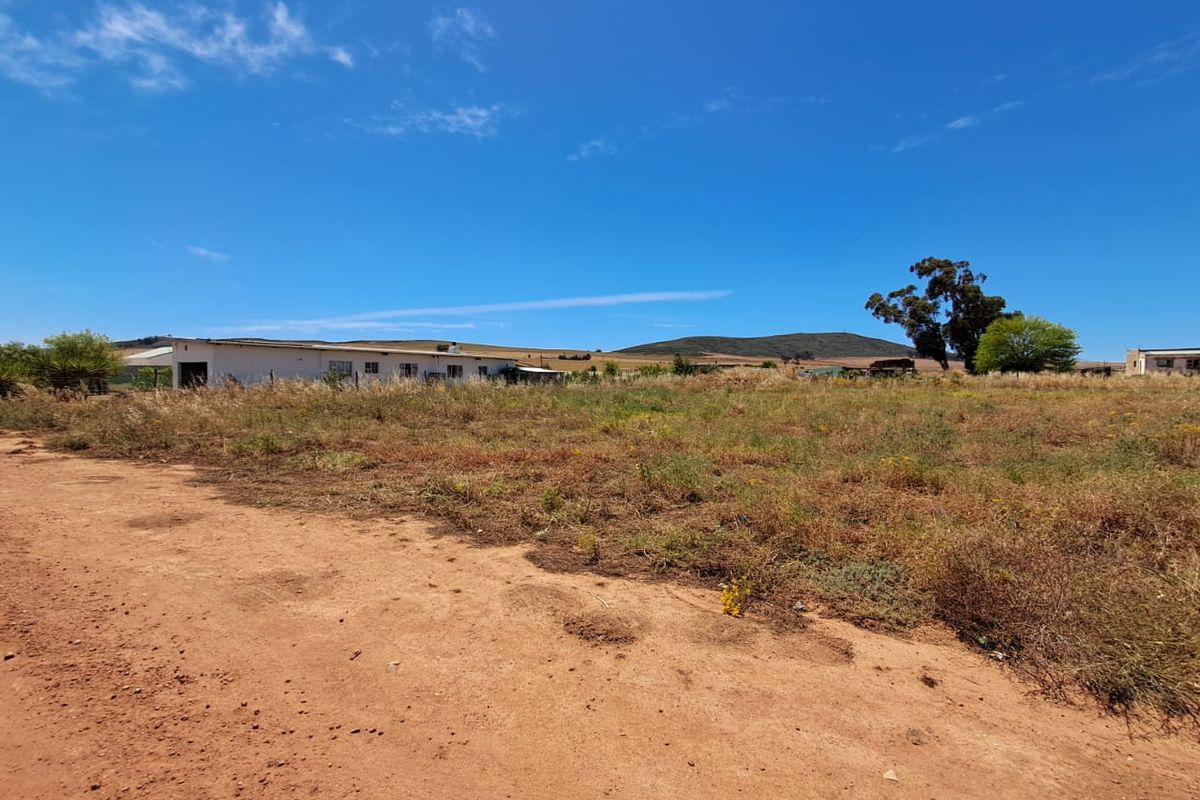 Last chance to own this large plot with space for  space for a  chickens etc. in Moorreesburg - Photo 5