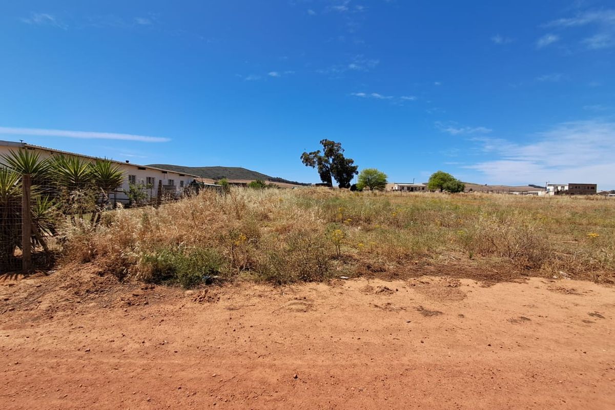 Last chance to own this large plot with space for  space for a  chickens etc. in Moorreesburg - Photo 3