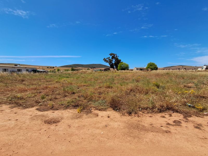 Last chance to own this large plot with space for  space for a  chickens etc. in Moorreesburg - Photo 4