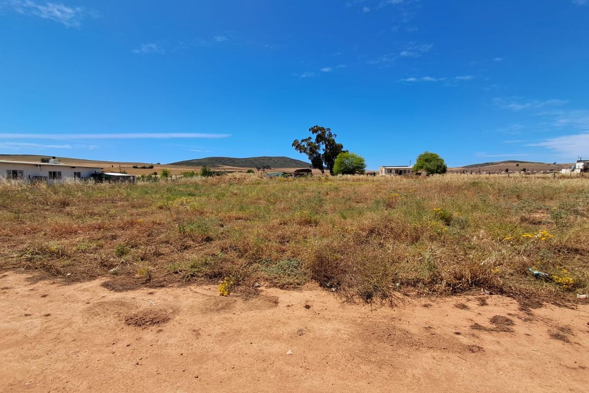 Last chance to own this large plot with space for  space for a  chickens etc. in Moorreesburg - Photo 4