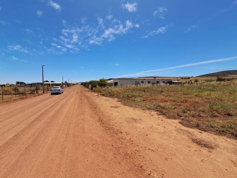 Last chance to own this large plot with space for  space for a  chickens etc. in Moorreesburg - Photo 7