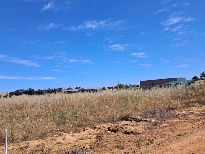 Last chance to own this large plot with space for  space for a  chickens etc. in Moorreesburg - Photo 6