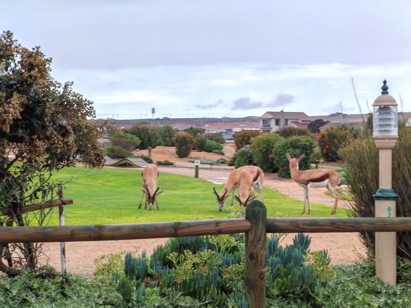 A scenic view of a landscaped residential garden area featuring natural wildlife, manicured lawns, and established shrubbery.