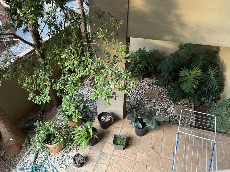 Sleek & Spacious 2 Bedroom, 2 Bathroom with Modern Finishes. - Photo 2