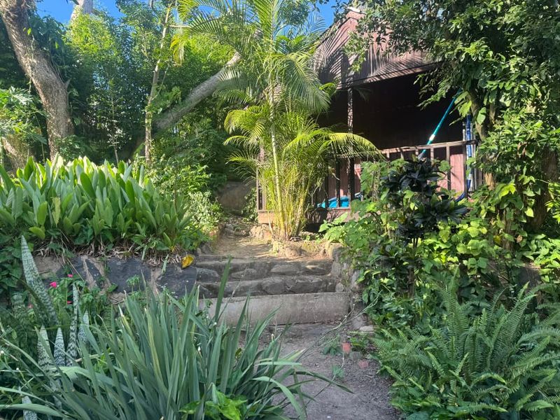 Beautiful forestry house and cottage for sale in Mandini - Photo 9