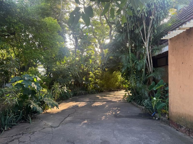 Beautiful forestry house and cottage for sale in Mandini - Photo 8