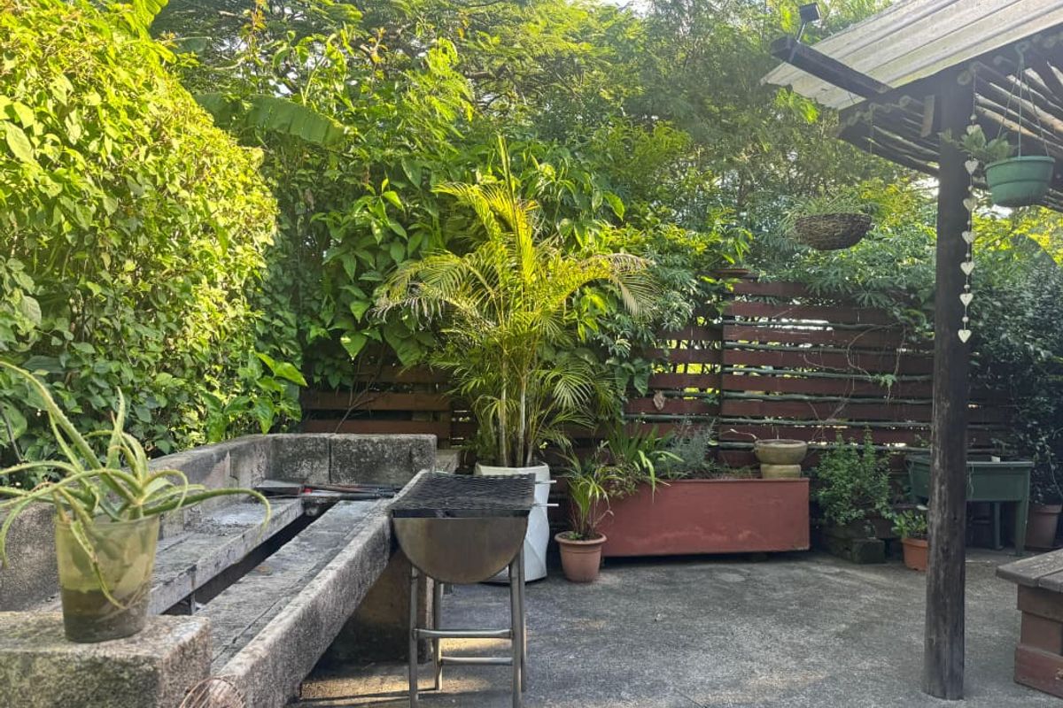 Beautiful forestry house and cottage for sale in Mandini - Photo 5