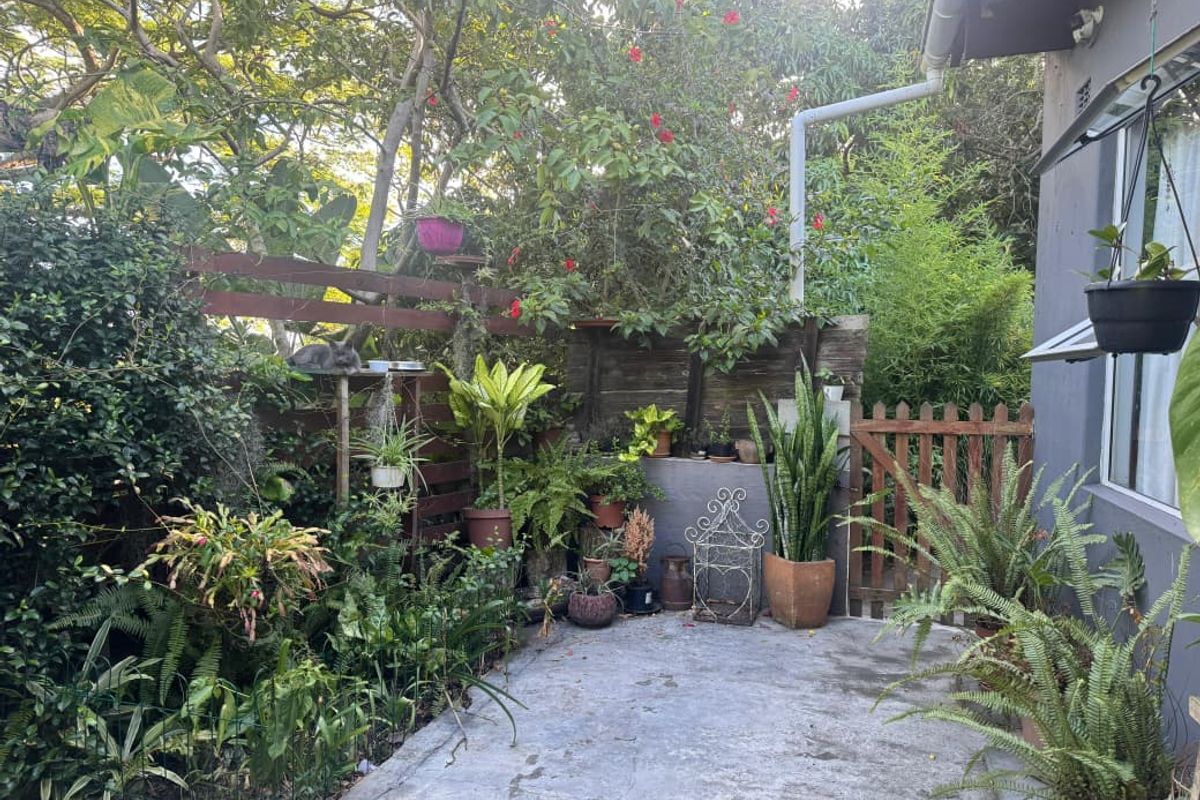 Beautiful forestry house and cottage for sale in Mandini - Photo 4