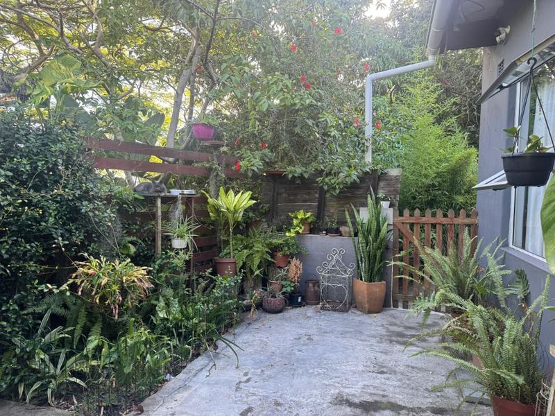 Beautiful forestry house and cottage for sale in Mandini - Photo 6