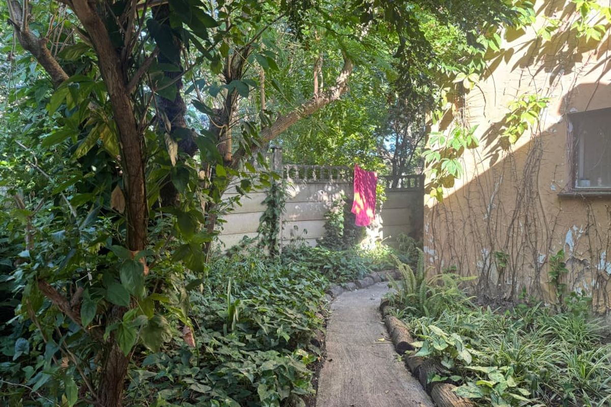 Beautiful forestry house and cottage for sale in Mandini - Photo 5