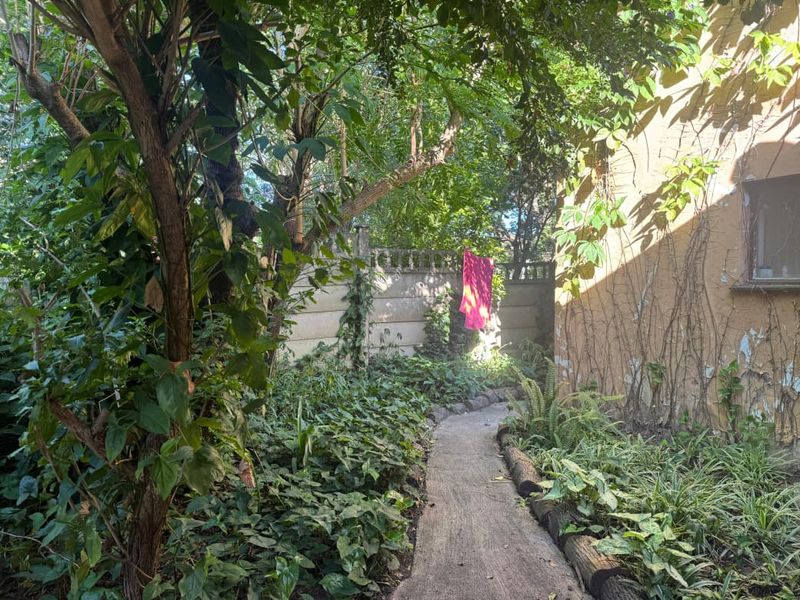 Beautiful forestry house and cottage for sale in Mandini - Photo 5