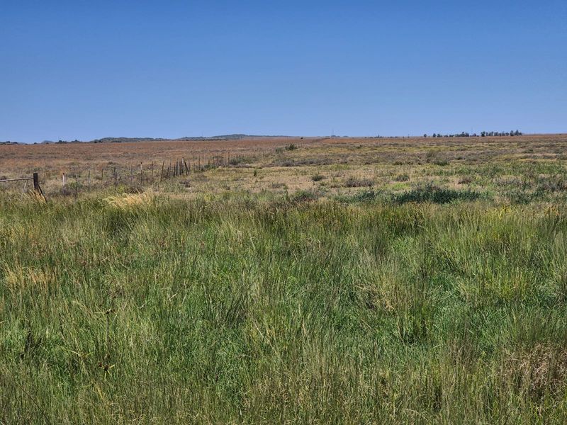 Farm For Sale In Edenburg - Photo 10