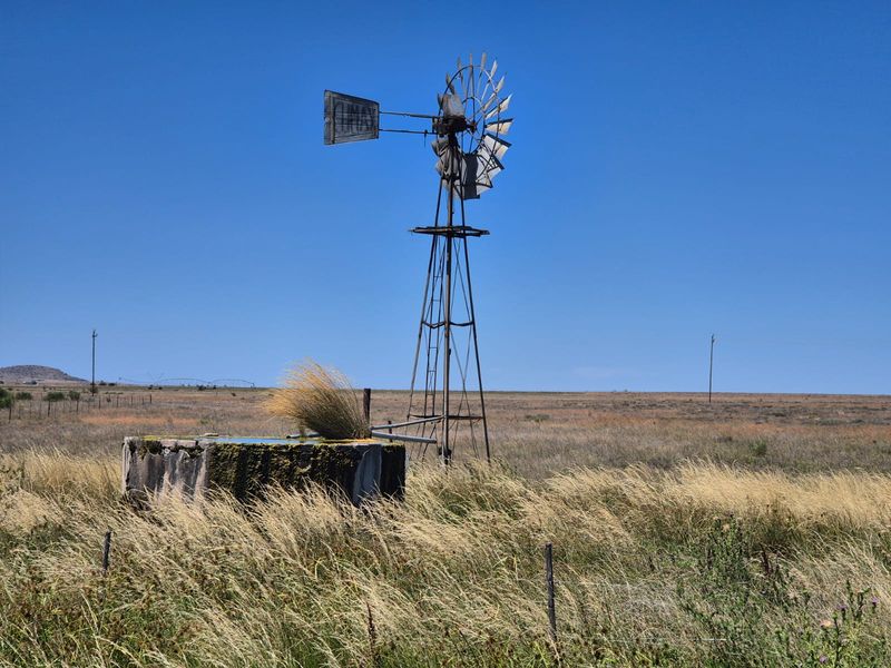 Farm For Sale In Edenburg - Photo 9