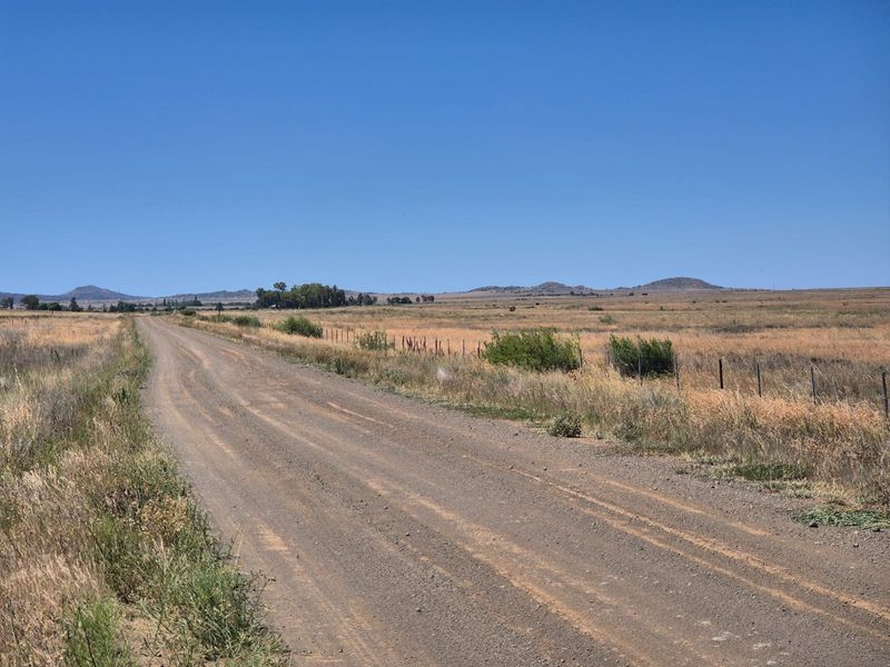 Farm For Sale In Edenburg - Photo 5