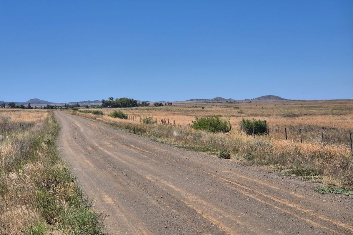 Farm For Sale In Edenburg - Photo 5