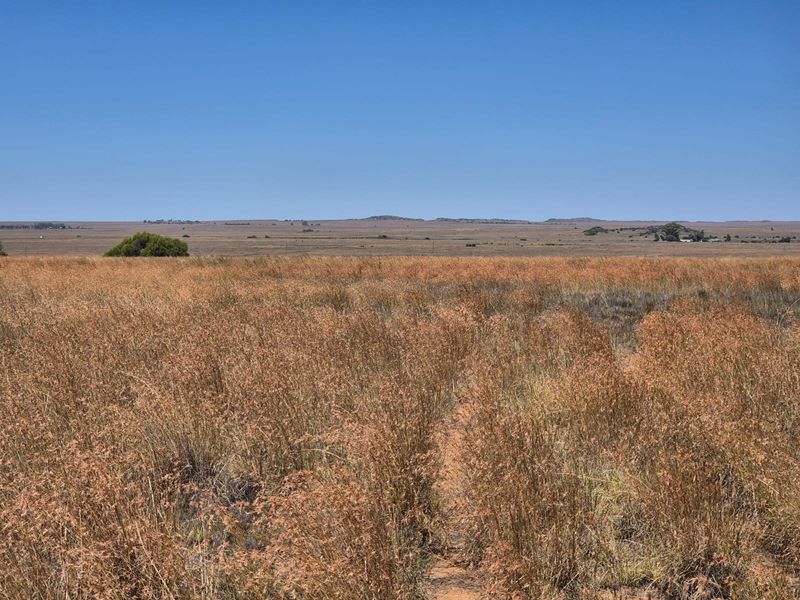 Farm For Sale In Edenburg - Photo 7