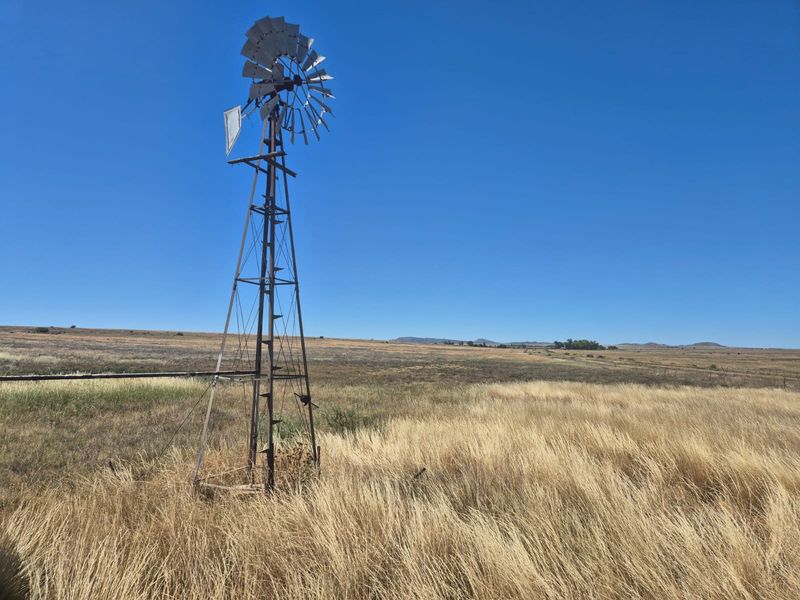 Farm For Sale In Edenburg - Photo 6