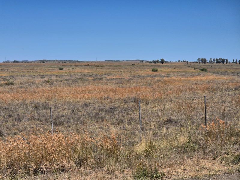 Farm For Sale In Edenburg - Photo 3