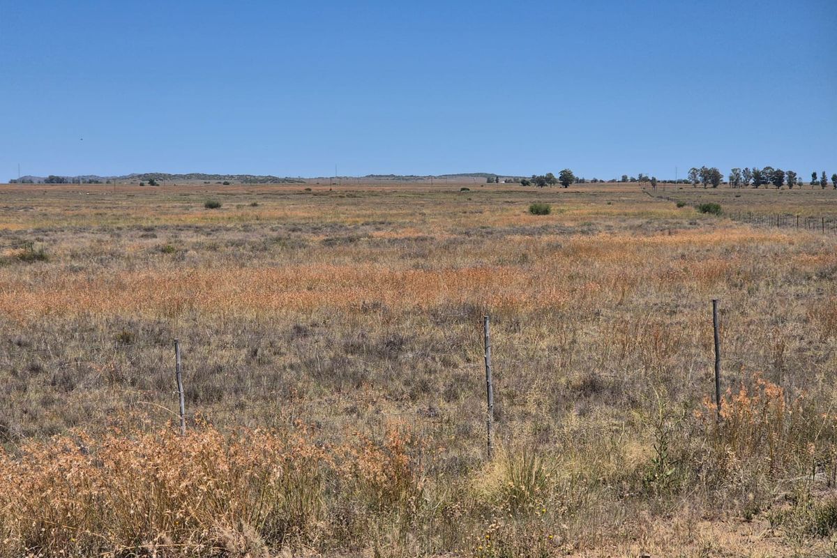 Farm For Sale In Edenburg - Photo 3