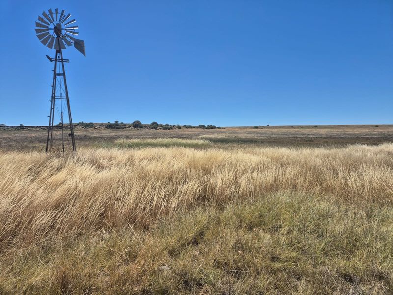 Farm For Sale In Edenburg - Photo 4