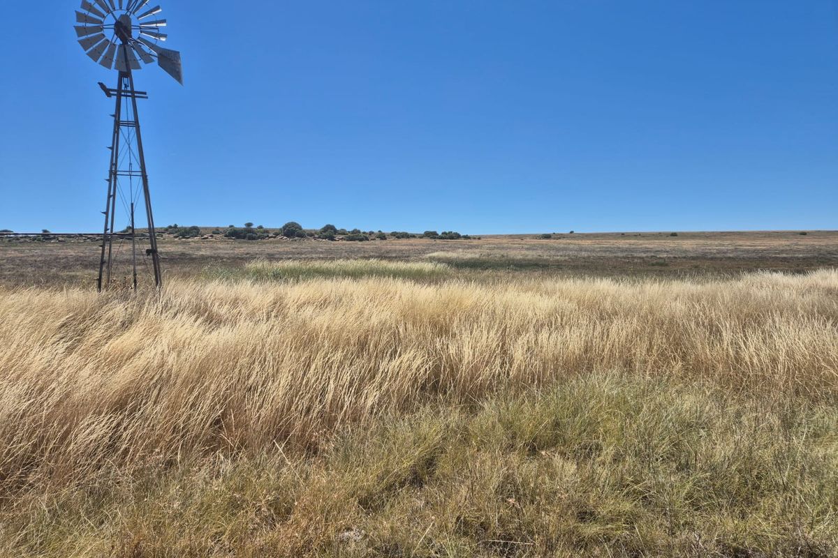 Farm For Sale In Edenburg - Photo 4