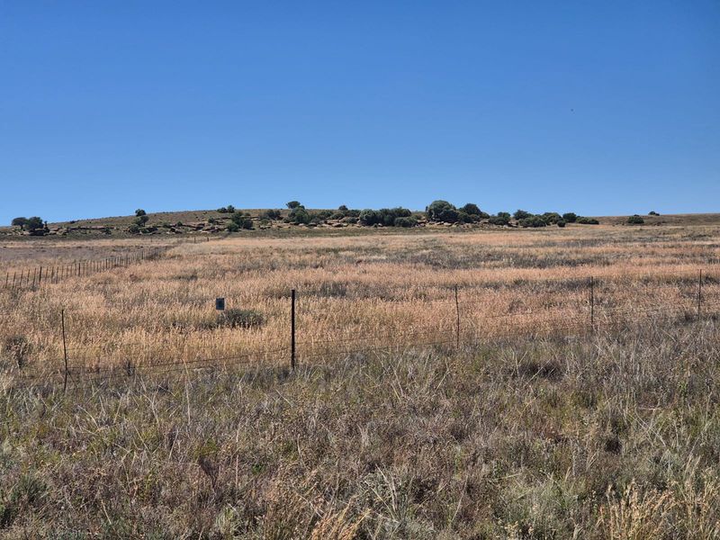 Farm For Sale In Edenburg - Photo 2