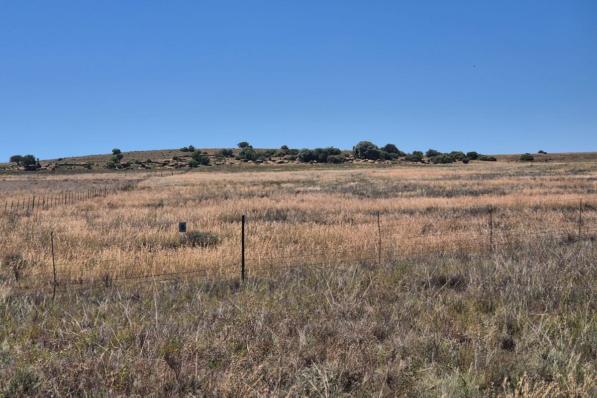 Farm For Sale In Edenburg - Photo 2