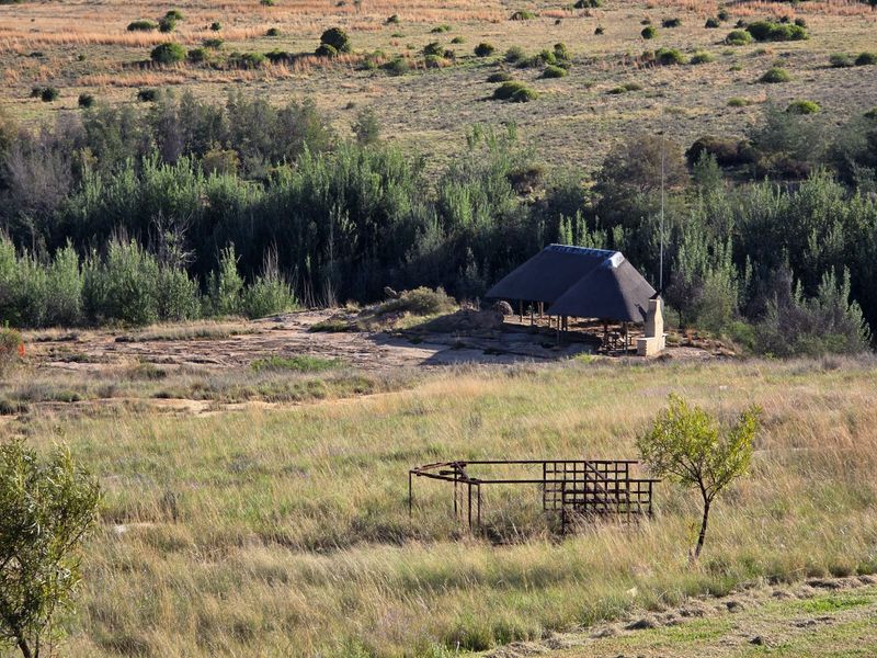 Exceptional Game Farm - Photo 8