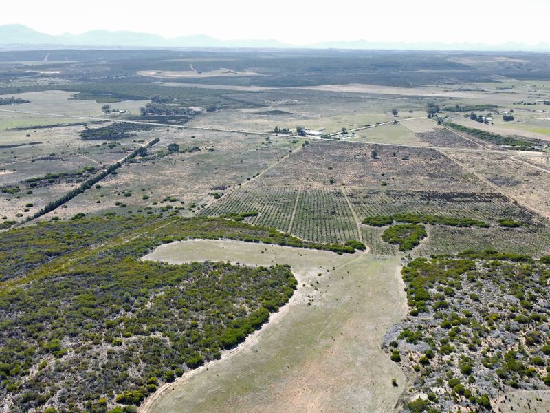 Lifestyle farm for sale Near Stilbaai - Photo 3