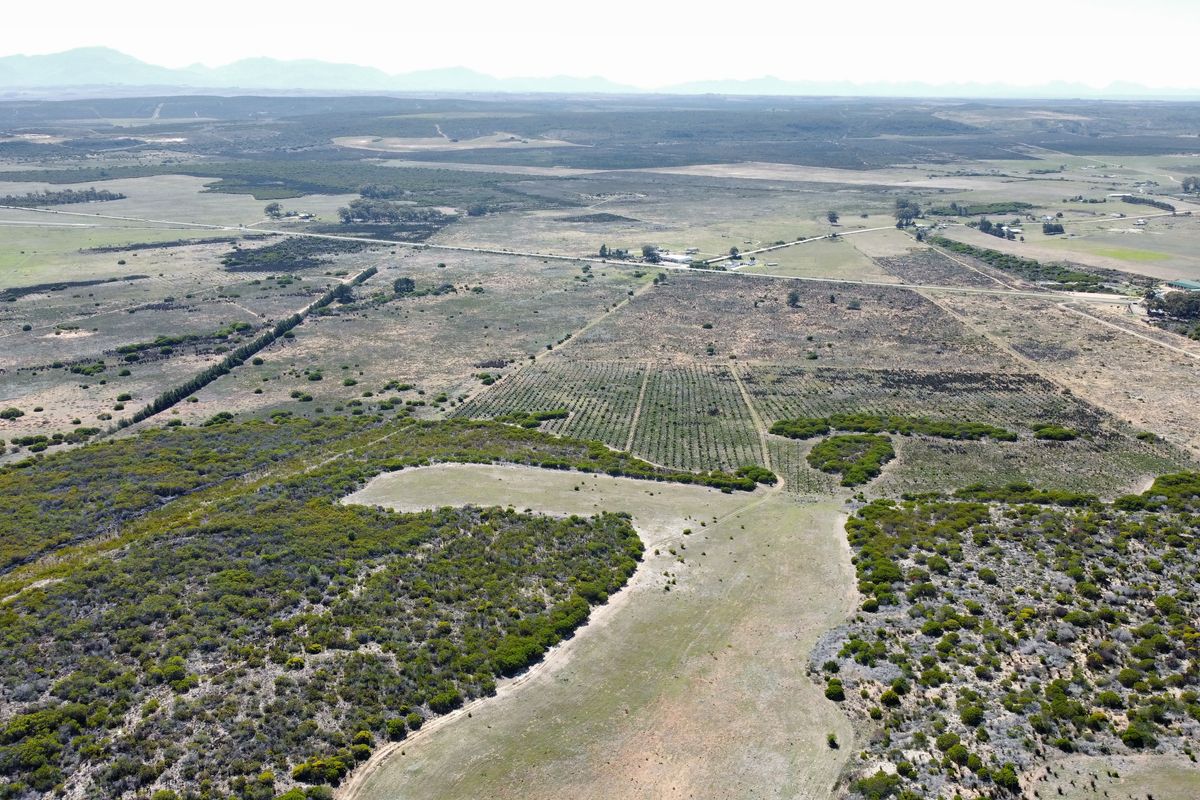 Lifestyle farm for sale Near Stilbaai - Photo 3