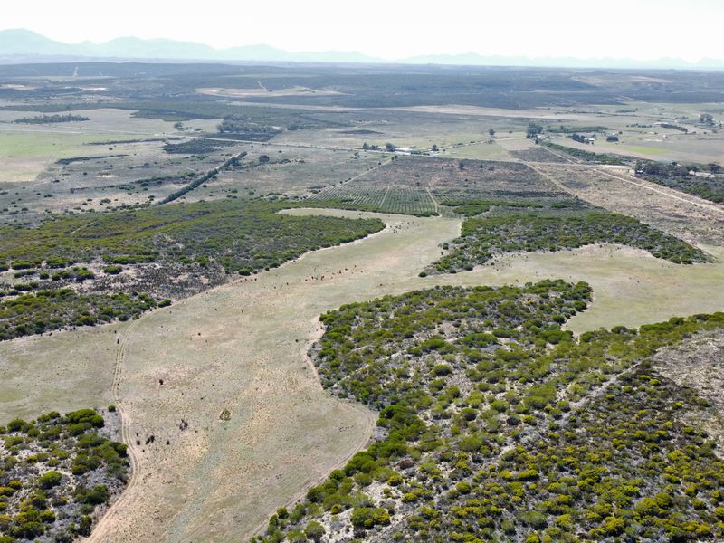 Lifestyle farm for sale Near Stilbaai - Photo 4