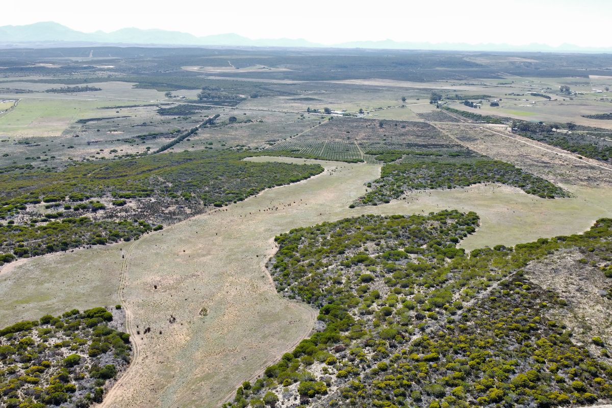 Lifestyle farm for sale Near Stilbaai - Photo 4