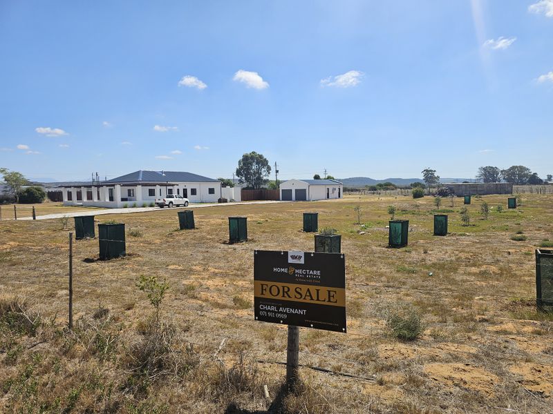 Lifestyle farm for sale Near Stilbaai - Photo 5