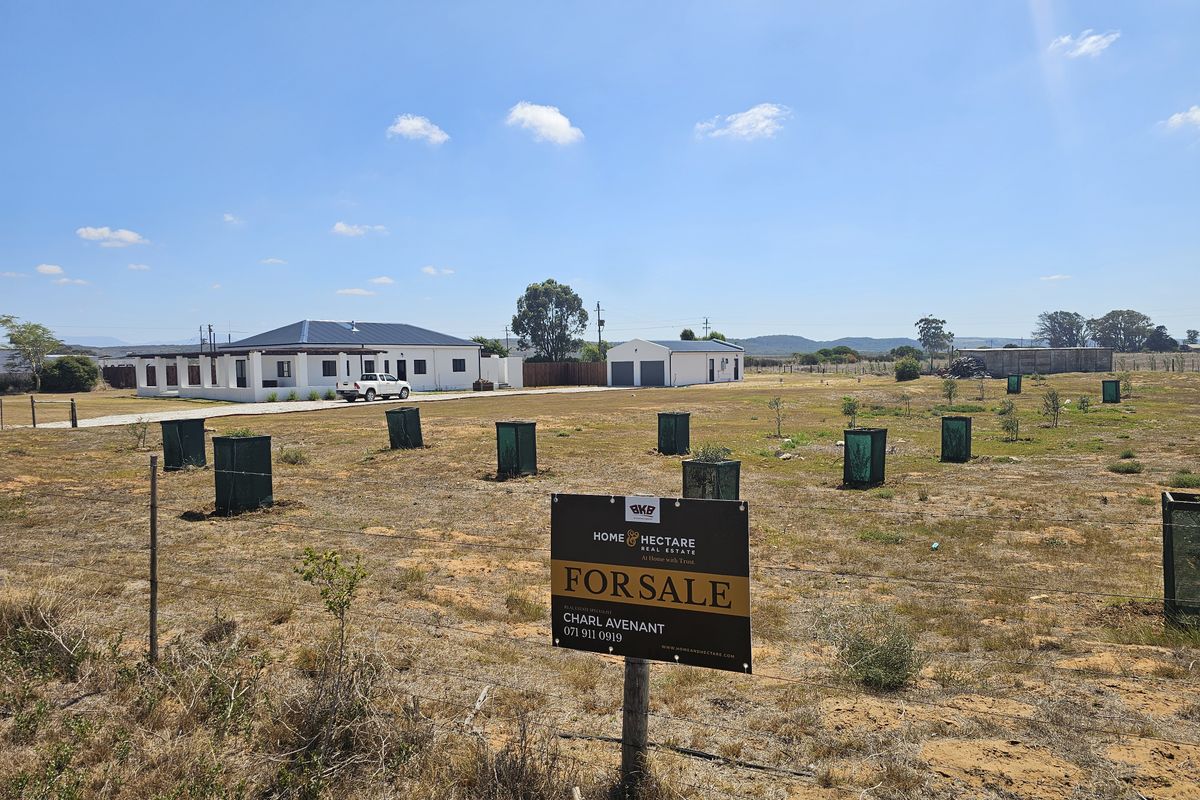 Lifestyle farm for sale Near Stilbaai - Photo 5