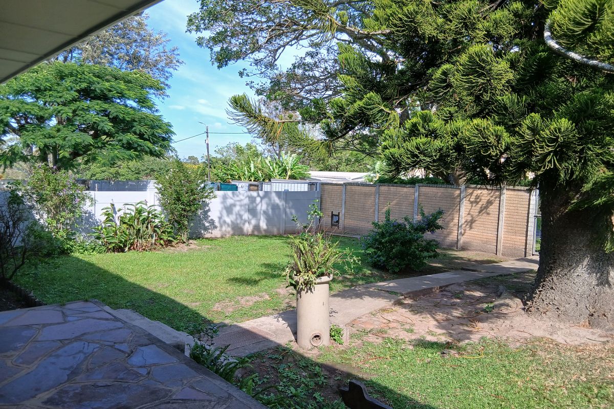 Spacious Family Home with Huge Yard and Development Potential. - Photo 3