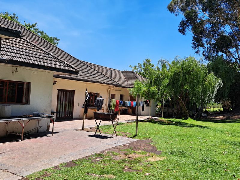 A DIAMOND IN THE ROUGH - Photo 4