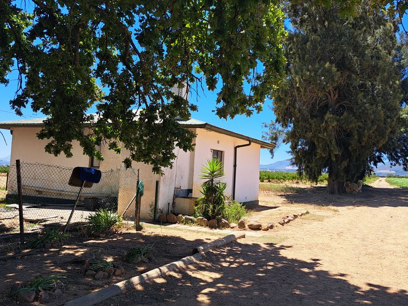 A DIAMOND IN THE ROUGH - Photo 6