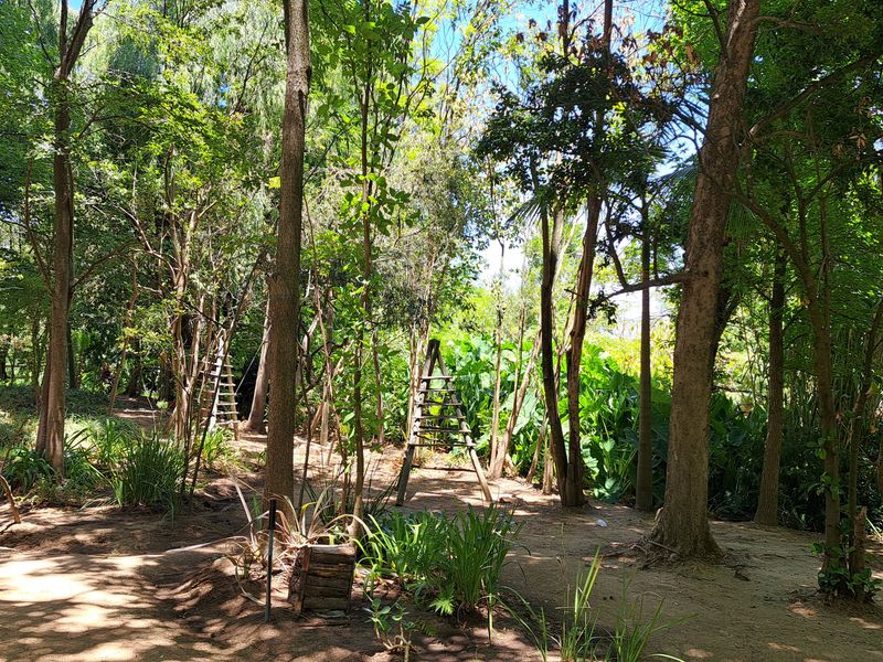 A serene, wooded garden area featuring mature trees and natural landscaping, providing a peaceful outdoor setting on the farm property.